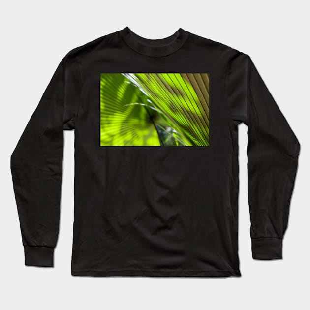 Fan Palms Long Sleeve T-Shirt by Kat C.